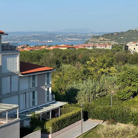 Bellevue 2 דירה